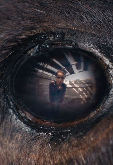 Animale